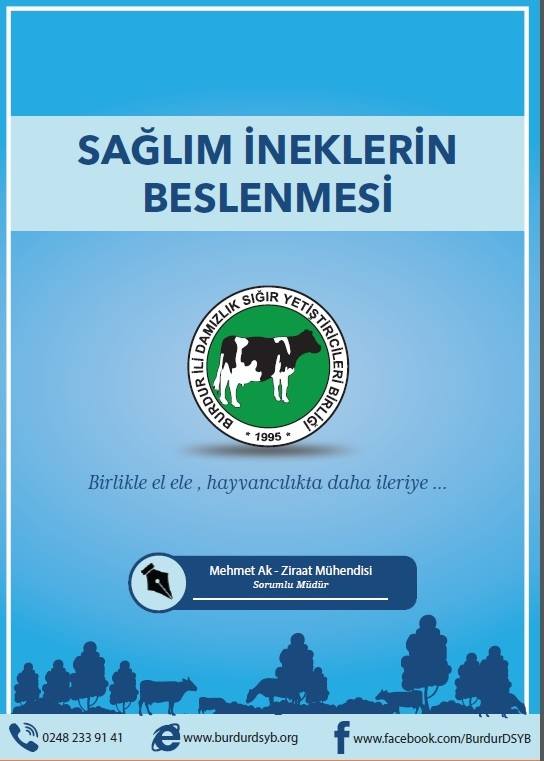 Sağlım İneklerin Beslenmesi