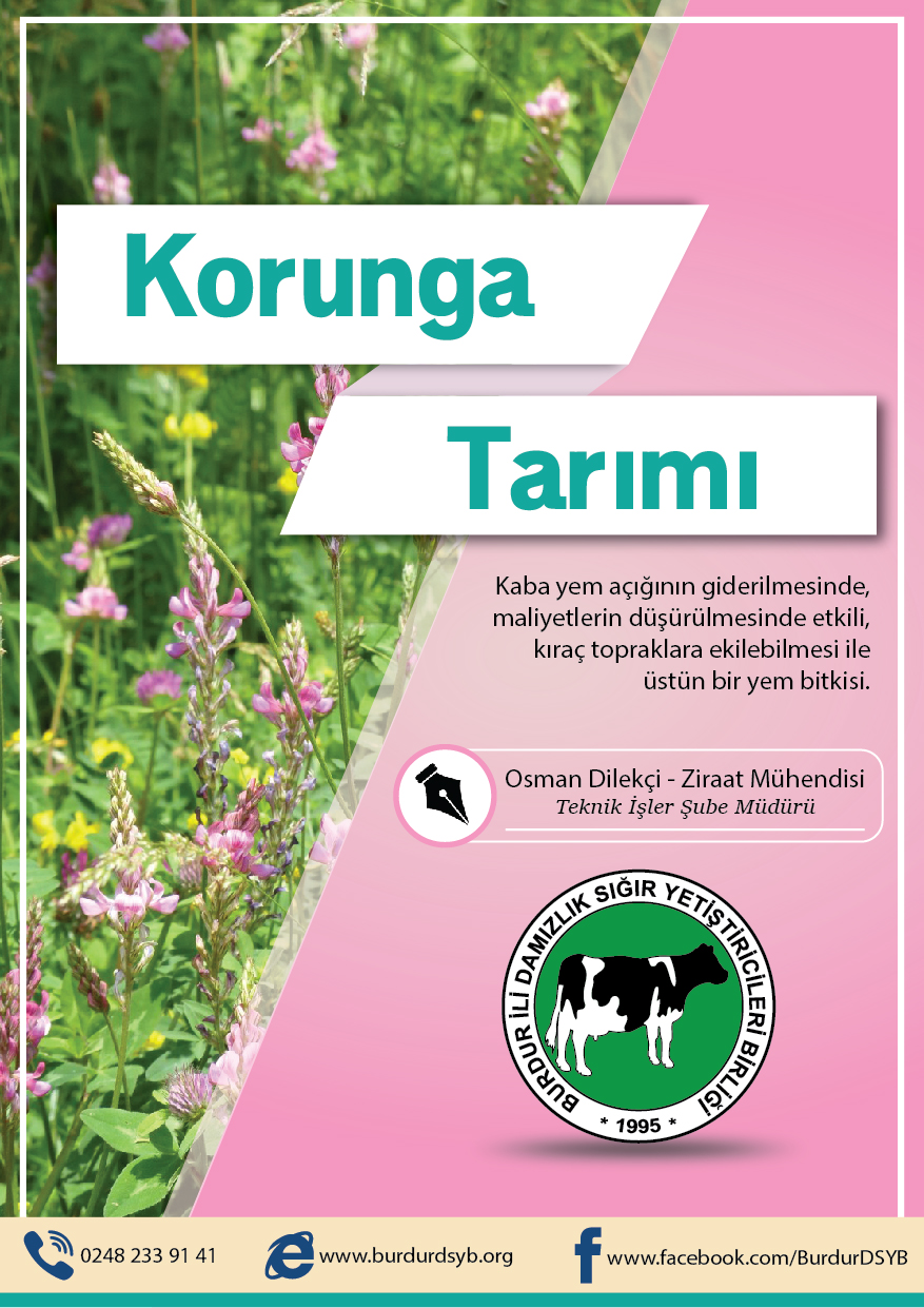Korunga Tarımı