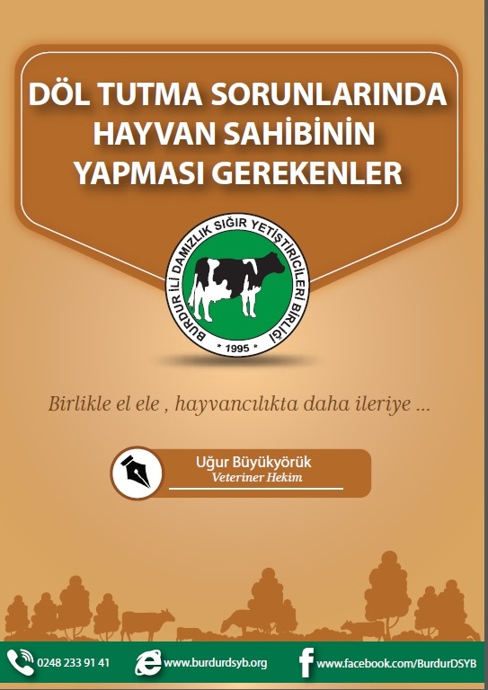 Döl Tutmama Sorunları