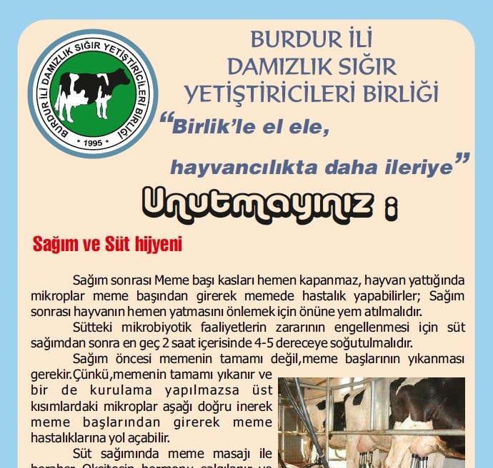 Sağım Ve Sürü Hijyeni